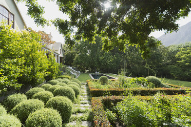 Sonniger, üppig grüner Garten vor dem Luxushaus - HOXF00435