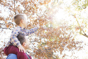 Vater trägt Sohn auf den Schultern und greift nach Herbstblättern - HOXF00557