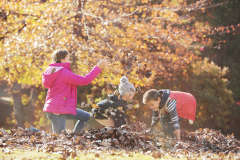 Jungen und Mädchen spielen im Herbstlaub, lizenzfreies Stockfoto