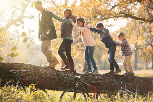 Familie, die in einer Reihe auf einem umgefallenen Baumstamm in der Nähe von Fahrrädern spazieren geht - HOXF00573