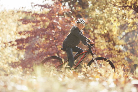 Junge Fahrradfahren im Wald mit Herbstlaub, lizenzfreies Stockfoto