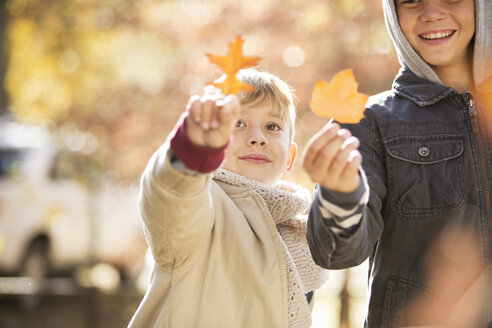 Jungen halten goldene Herbstblätter - HOXF00594
