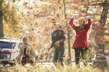 Jungen und Mädchen, die Herbstblätter über den Kopf werfen - HOXF00607