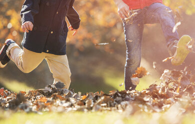 Playful boys kicking autumn leaves - HOXF00636