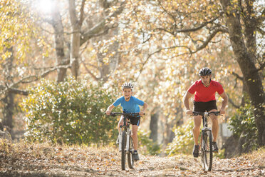 Vater und Sohn beim Mountainbiking auf einem Waldweg - HOXF00640