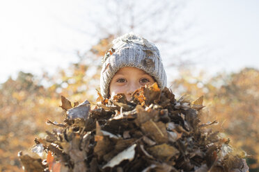 Porträt eines Jungen, der einen Strauß Herbstblätter hält - HOXF00653