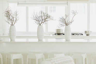 Modern white dining table with white vases and branches - HOXF00951