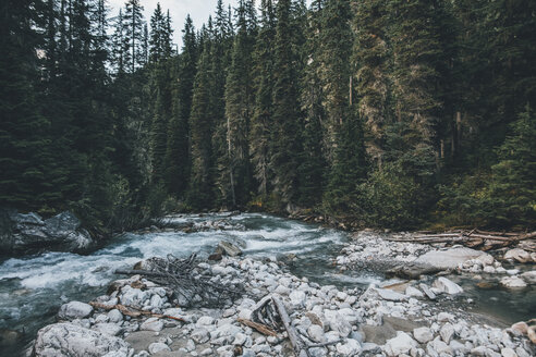 Kanada, British Columbia, Columbia-Shuswap A, Glacier-Nationalpark, Illecillewaet River - GUSF00313