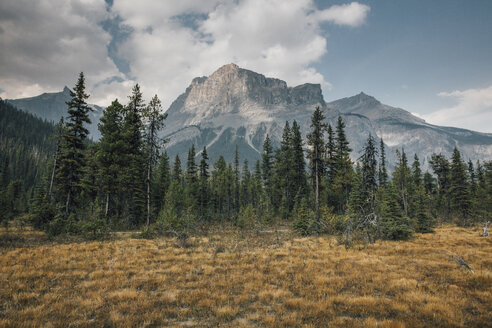 Kanada, British Columbia, Columbia-Shuswap A, Rocky Mountains, Michael Peak, Yoho-Nationalpark - GUSF00330