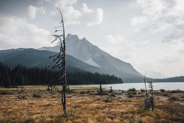 Kanada, British Columbia, Columbia-Shuswap A, Rocky Mountains, Walcott Peak, Yoho-Nationalpark - GUSF00331