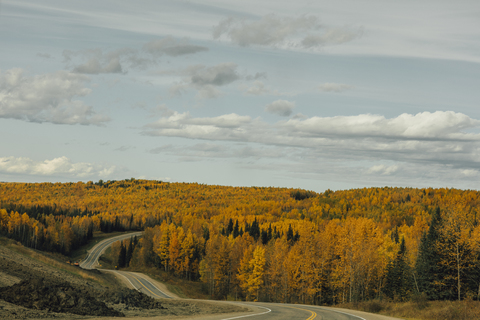 Kanada, British Columbia, Nördliche Rocky Mountains, Alaska Highway im Herbst, lizenzfreies Stockfoto