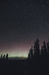 Kanada, British Columbia, Liard River Hot Springs Provincial Park, Nordlicht, Sternenhimmel bei Nacht - GUSF00361