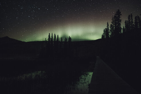 Kanada, British Columbia, Liard River Hot Springs Provincial Park, Nordlicht, Sternenhimmel bei Nacht - GUSF00362