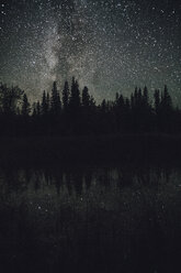 Canada, British Columbia, Liard River Hot Springs Provincial Park, starry sky at night - GUSF00363