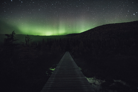 Kanada, British Columbia, Liard River Hot Springs Provincial Park, Nordlicht, Sternenhimmel bei Nacht, lizenzfreies Stockfoto