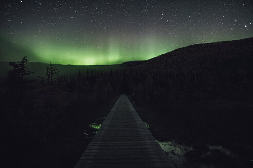 Canada, British Columbia, Liard River Hot Springs Provincial Park, Northern Lights, starry sky at night - GUSF00364