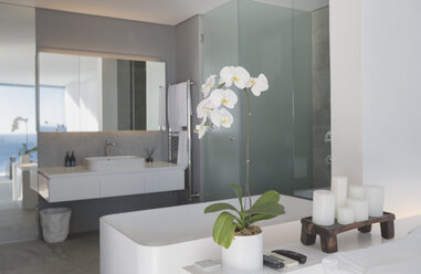 Modern, luxury home showcase interior bathroom - HOXF01288