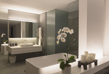 Illuminated modern, luxury home showcase bathroom - HOXF01306