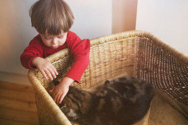 Junge streichelt Katze im Korb - HOXF01380