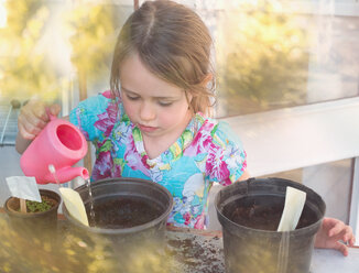 Girl watering seedlings in flowerpots with tiny pink watering can - HOXF01382