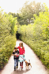 Boy and girl brother and sister walking puppy dog on leash on tree lined park path - HOXF01412