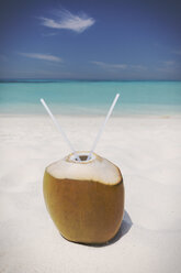 Kokosnuss mit zwei Strohhalmen am sonnigen tropischen Ozeanstrand - HOXF01430