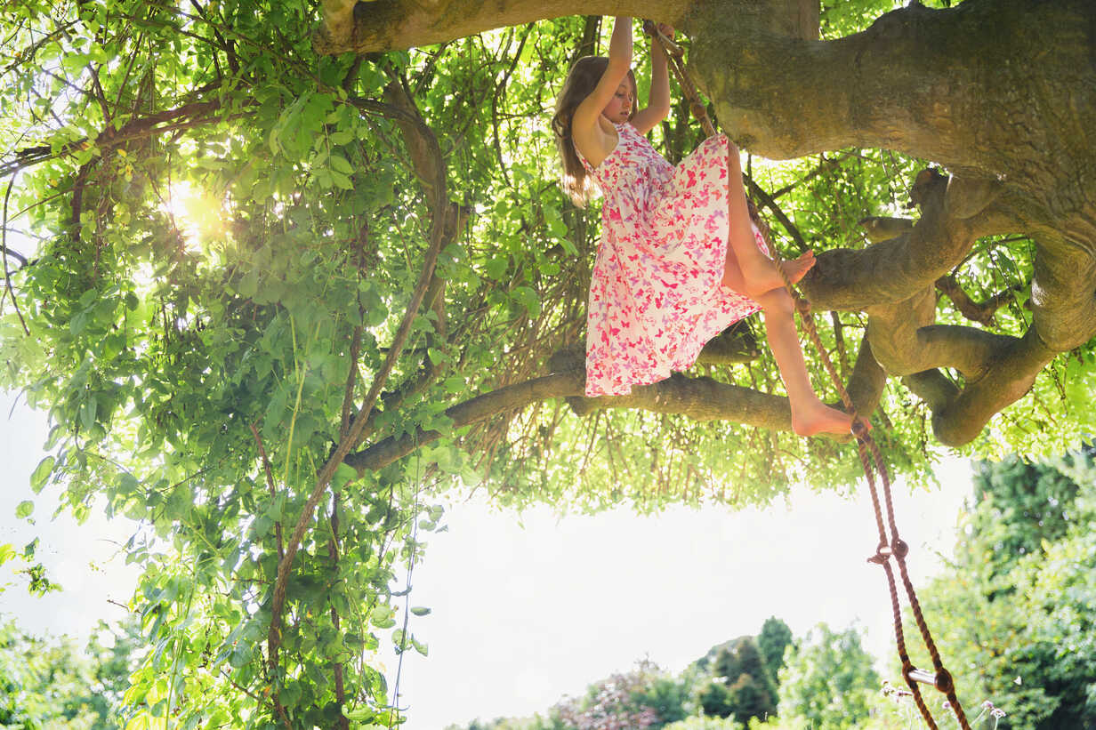 Girl in sun dress climbing tree stock photo