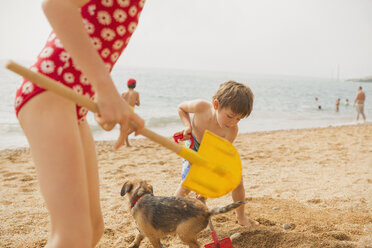 Junge und Mädchen Bruder und Schwester spielen mit Hund und graben in Sand mit Schaufeln am sonnigen Strand - HOXF01446