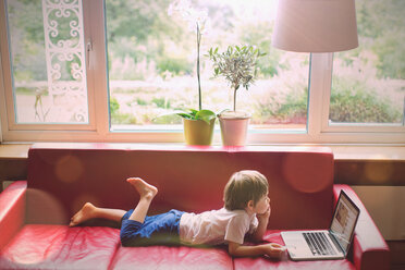 Junge mit Laptop auf rotem Ledersofa im Wohnzimmer - HOXF01452
