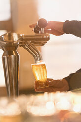 Barkeeper füllt ein Pintglas mit Bier am Zapfhahn in einer Bar - HOXF01478