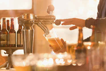 Barkeeper schenkt Bier aus dem Zapfhahn hinter der Bar ein - HOXF01531