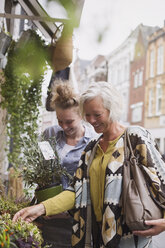 Blumenhändlerin hilft einer Frau beim Einkaufen von Topfpflanzen im Geschäft - HOXF01857