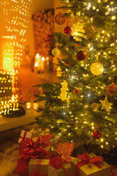 Gifts under illuminated Christmas tree - HOXF01893
