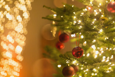 Red ornaments hanging from Christmas tree with string lights - HOXF01897