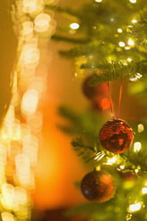 Roter Glitzerschmuck am Weihnachtsbaum mit Lichterkette - HOXF01900