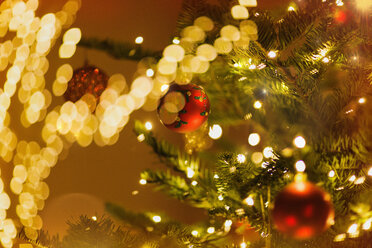 Rote Ornamente hängen am Weihnachtsbaum mit Lichterkette - HOXF01902