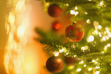 Rote Ornamente hängen am Zweig eines Weihnachtsbaums mit Lichterkette - HOXF01911