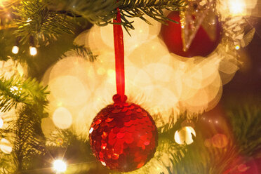 Close up red sequin ornament hanging from branch of Christmas tree with string lights - HOXF01915