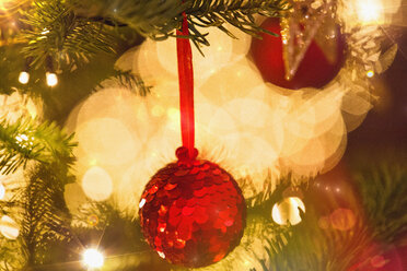 Close up rote Paillette Ornament hängen von Zweig der Weihnachtsbaum mit Lichterkette - HOXF01915