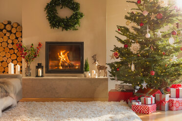 Ambienter Kamin und Weihnachtsbaum im Wohnzimmer - HOXF01935