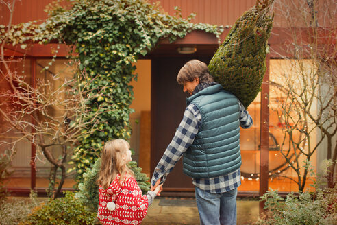 Vater und Tochter tragen den Weihnachtsbaum zum Haus - HOXF01942