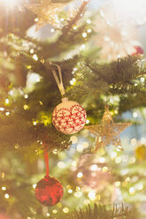 Rot-, weiß- und goldfarbener Schmuck am Weihnachtsbaum - HOXF01980