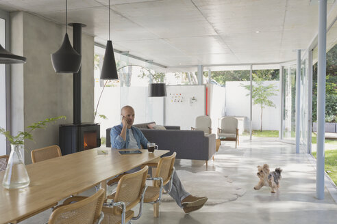 Hund, der auf einen Mann zuläuft, der zu Hause in einer Vitrine am Esstisch mit einem Handy telefoniert - HOXF02009