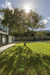 Tranquil sunshine behind tree casting shadow in grass - HOXF02291