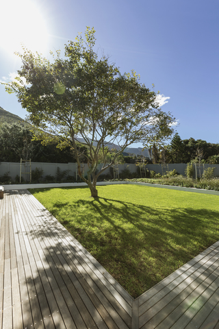 Sonnenschein wirft Baumschatten im Luxusgarten, lizenzfreies Stockfoto
