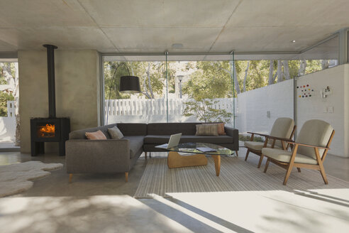 Luxuriöses Haus Schaufenster Innenraum Wohnzimmer mit Holzofen Kamin - HOXF02410