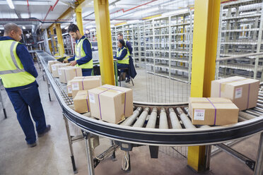 Workers processing cardboard boxes on conveyor belt in distribution warehouse - HOXF02456