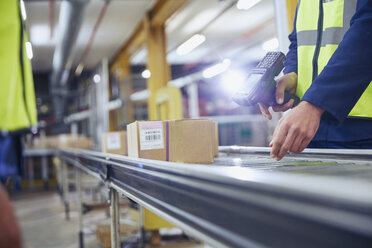 Worker scanning and processing boxes on conveyor belt in distribution warehouse - HOXF02474