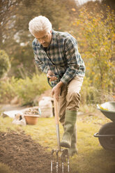 Man gardening digging dirt in autumn garden - HOXF02685