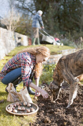 Frau mit Hund bei der Gartenarbeit pflanzt Blumenzwiebeln in Erde im Herbstgarten - HOXF02696